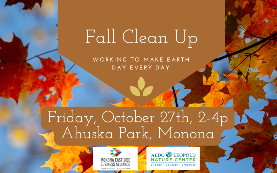 Fall Clean Up – Fri, Oct 27, 2-4p
